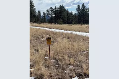 861A State Highway 24, Lake George, CO 80827 - Photo 8