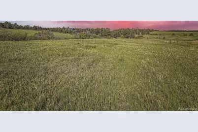 104 Bill Davis Road, Franktown, CO 80116 - Photo 14
