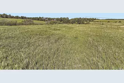 104 Bill Davis Road, Franktown, CO 80116 - Photo 12