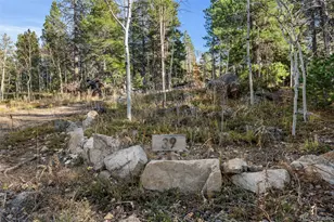 84 Severance Lodge Rd, Black Hawk, CO 80422 - Photo 1