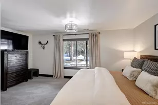 216 Village Point Dr, Breckenridge, CO 80424 - Photo 14