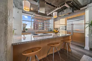 1610 Little Raven Street, Denver, CO 80202 - Photo 16