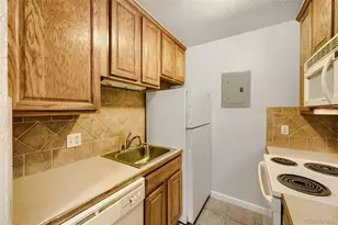733 E 2nd Ave, Denver, CO 80203 - Photo 8