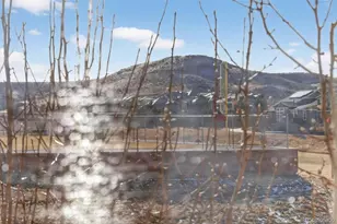 10204 RidgeGate Circle, Lone Tree, CO 80124 - Photo 10