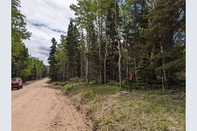 2904 Henderson Drive, Fort Garland, CO 81133 - Photo 4