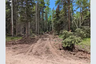 2904 Henderson Drive, Fort Garland, CO 81133 - Photo 2