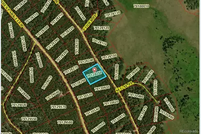 2904 Henderson Drive, Fort Garland, CO 81133 - Photo 6
