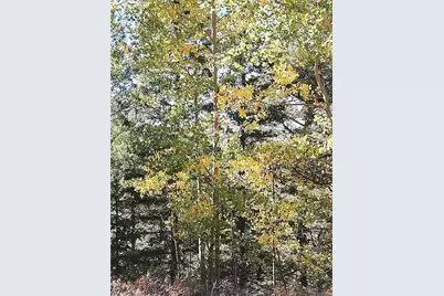 Lot 5374, Fort Garland, CO 81133 - Photo 2