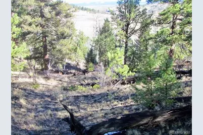 Tbd Cherokee Trail, Hartsel, CO 80449 - Photo 18