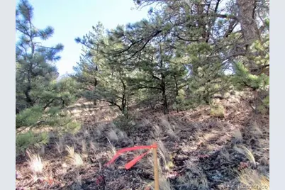 Tbd Cherokee Trail, Hartsel, CO 80449 - Photo 10