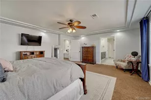 1373 Clear Sky Way, Castle Rock, CO 80109 - Photo 24