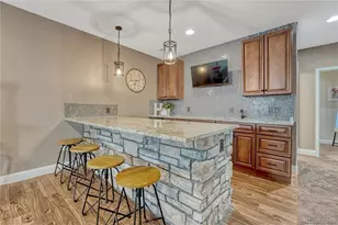1373 Clear Sky Way, Castle Rock, CO 80109 - Photo 38