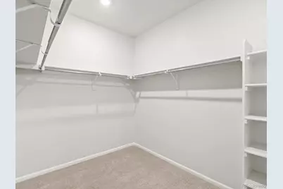 1242 Spring Creek Drive, Windsor, CO 80550 - Photo 20