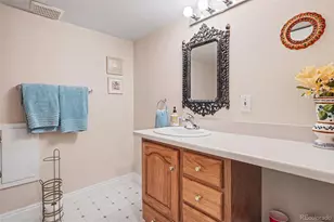 19155 E Hickock Dr, Parker, CO 80134 - Photo 26