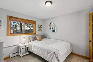 29310 Buchanan Dr, Evergreen, CO 80439 - Photo 24