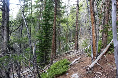 01 Broomfeild Gulch Road, Black Hawk, CO 80422 - Photo 14
