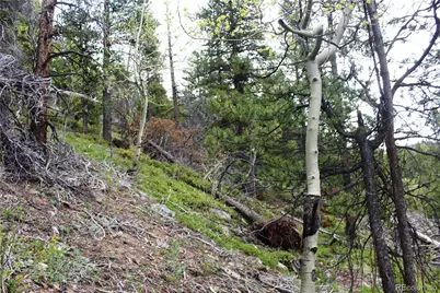 01 Broomfeild Gulch Road, Black Hawk, CO 80422 - Photo 20