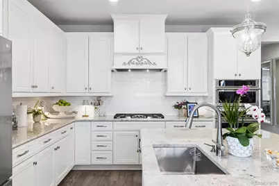 6872 Mentha Drive, Castle Rock, CO 80108 - Photo 6