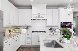 6872 Mentha Dr, Castle Rock, CO 80108 - Photo 6