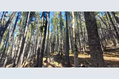 Lot 2682 & 2683 Purnell Lane, Fort Garland, CO 81133 - Photo 4