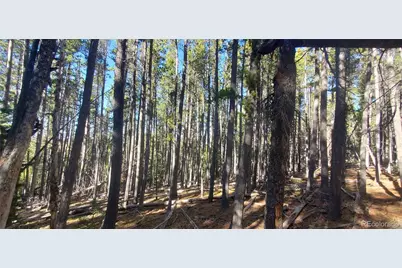 Lot 2682 & 2683 Purnell Lane, Fort Garland, CO 81133 - Photo 8