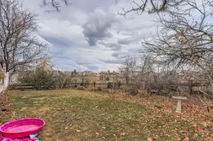 9603 Chesapeake St, Highlands Ranch, CO 80126 - Photo 42