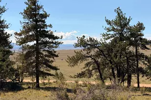 1199 Jefferson Rd, Hartsel, CO 80449 - Photo 26