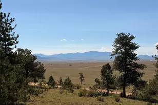 1199 Jefferson Rd, Hartsel, CO 80449 - Photo 14