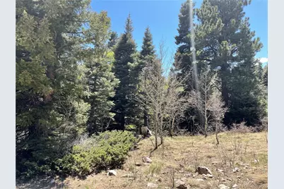 146 Gibson Road, Westcliffe, CO 81252 - Photo 4