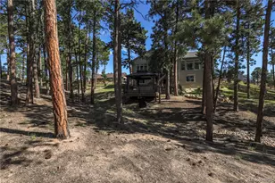 16021 Fox Mesa Ct, Monument, CO 80132 - Photo 34