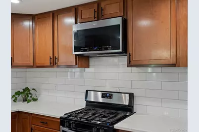 8049 Sweet Water Road, Lone Tree, CO 80124 - Photo 20