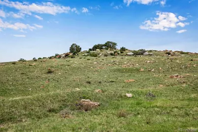 4753 Wild Horizon Drive, Laporte, CO 80535 - Photo 42