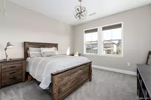 10849 Greycliffe Dr, Highlands Ranch, CO 80126 - Photo 30