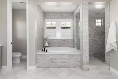 10849 Greycliffe Drive, Highlands Ranch, CO 80126 - Photo 28