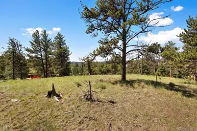234 Wasatch Lane, Florissant, CO 80816 - Photo 24