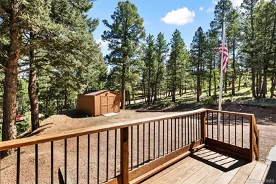 234 Wasatch Lane, Florissant, CO 80816 - Photo 4