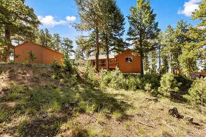 234 Wasatch Lane, Florissant, CO 80816 - Photo 38