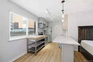 855 N Pennsylvania Street, Denver, CO 80203 - Photo 4