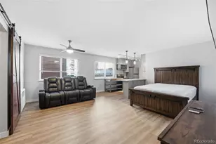 855 N Pennsylvania Street, Denver, CO 80203 - Photo 10