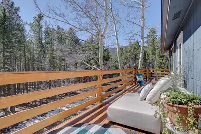 31556 Griffin Drive, Conifer, CO 80433 - Photo 24