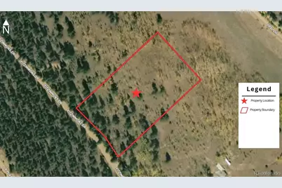 2396 Fitzsimmons Road, Hartsel, CO 80449 - Photo 28