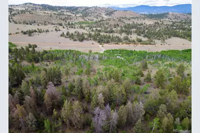 2396 Fitzsimmons Road, Hartsel, CO 80449 - Photo 22
