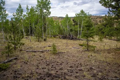 2396 Fitzsimmons Road, Hartsel, CO 80449 - Photo 6