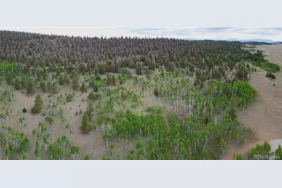 2396 Fitzsimmons Road, Hartsel, CO 80449 - Photo 26