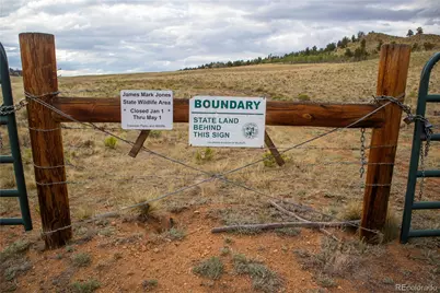 2396 Fitzsimmons Road, Hartsel, CO 80449 - Photo 32