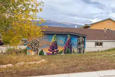 120 Norgren Road #A B C, Fraser, CO 80442 - Photo 4