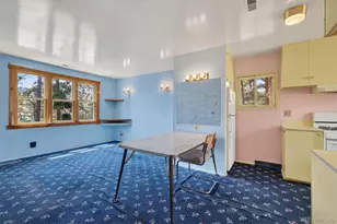 25049 US Hwy 40, Golden, CO 80401 - Photo 10