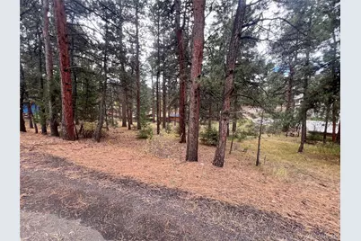 26698 De Berry Street, Conifer, CO 80433 - Photo 2