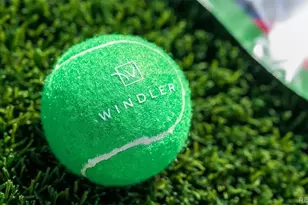 24177 E 53rd Dr, Aurora, CO 80019 - Photo 8