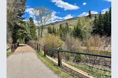 114 Robin Drive #114, Silverthorne, CO 80498 - Photo 44